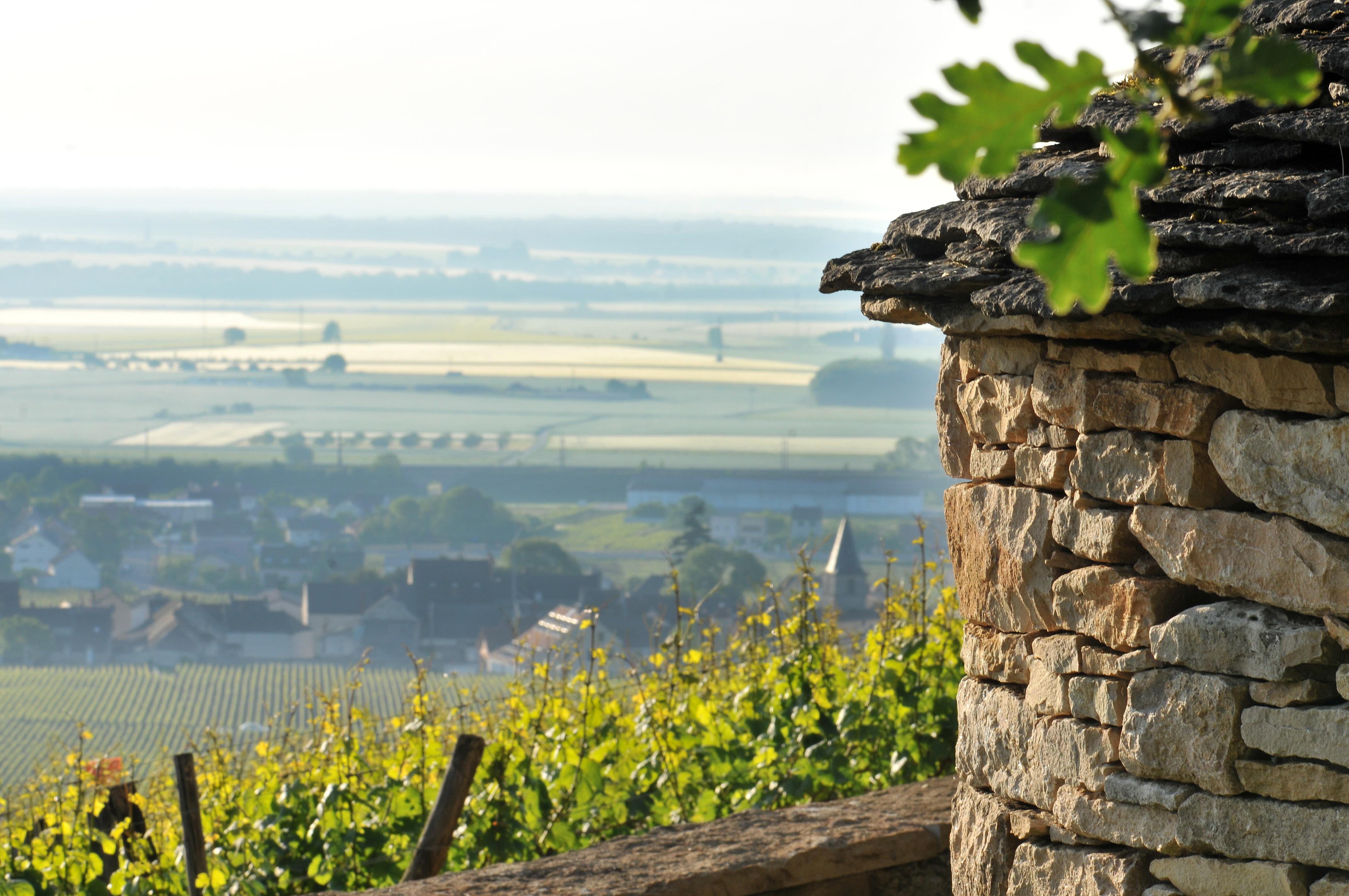 Le Richebourg Hotel, Restaurant & Spa Vosne-Romanée Eksteriør bilde