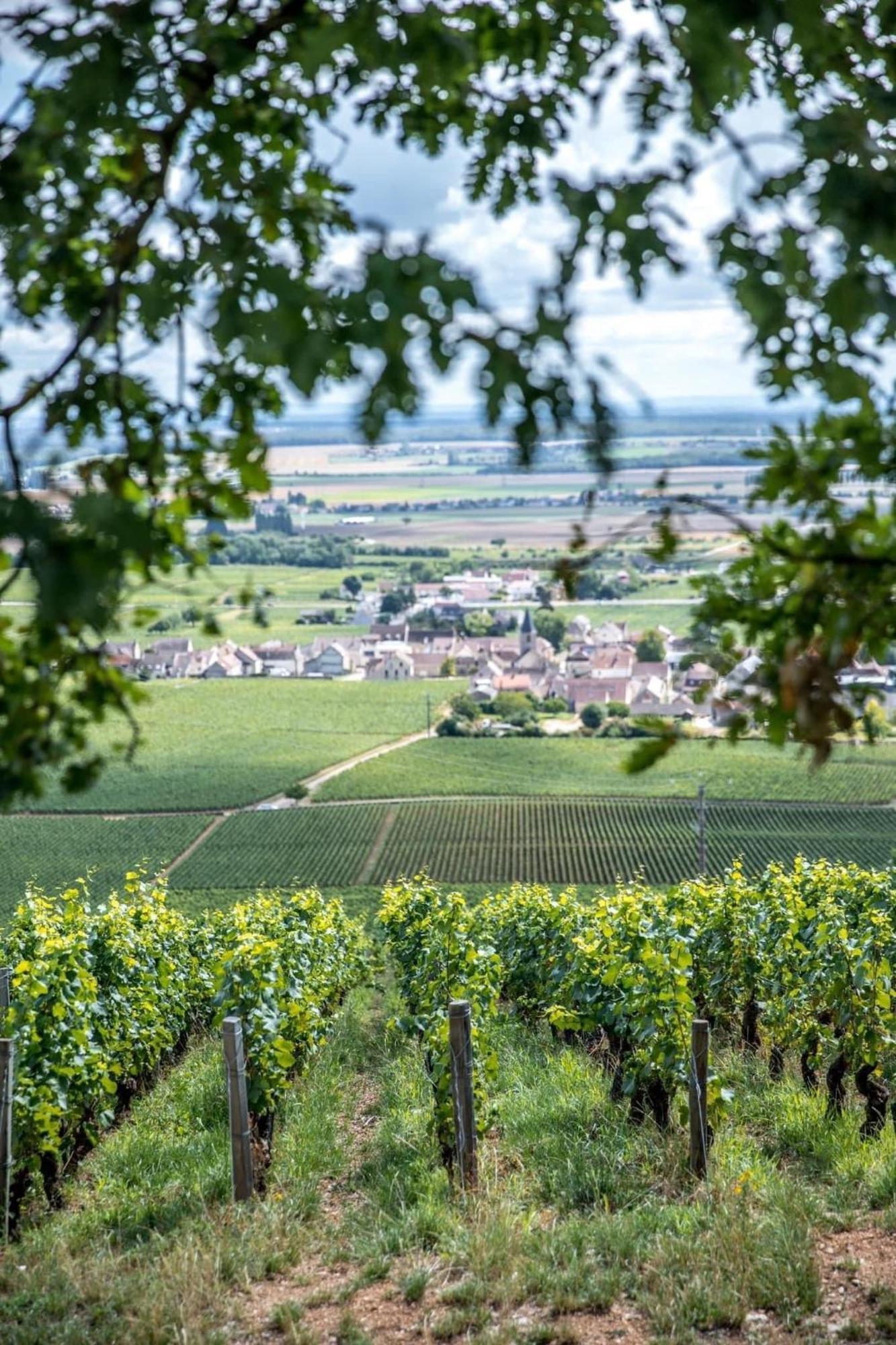 Le Richebourg Hotel, Restaurant & Spa Vosne-Romanée Eksteriør bilde
